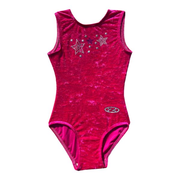 Roch Valley Stellar Gymnastics Leotard