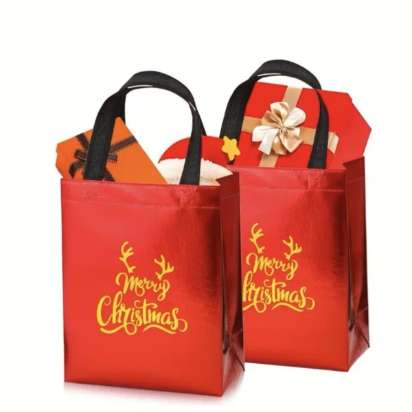 Christmas gift bag